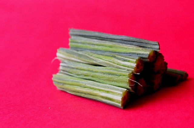 baqueta moringa oleifera