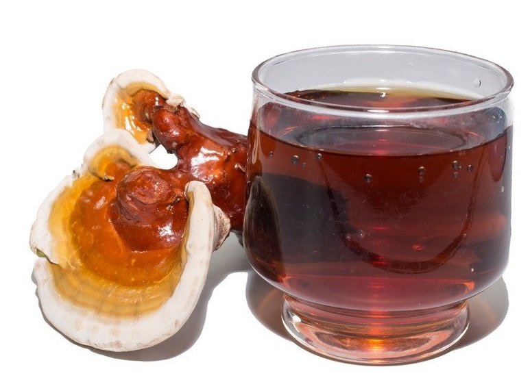infusion de reishi
