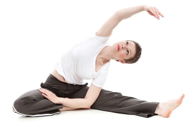 reishi salud alimentacion
