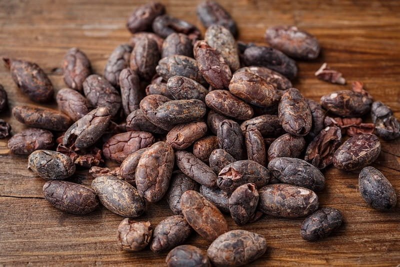grano cacao