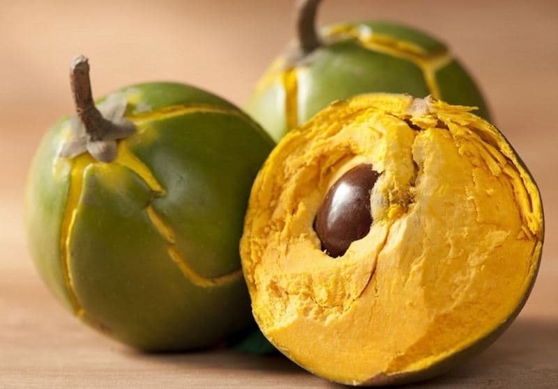 lucuma