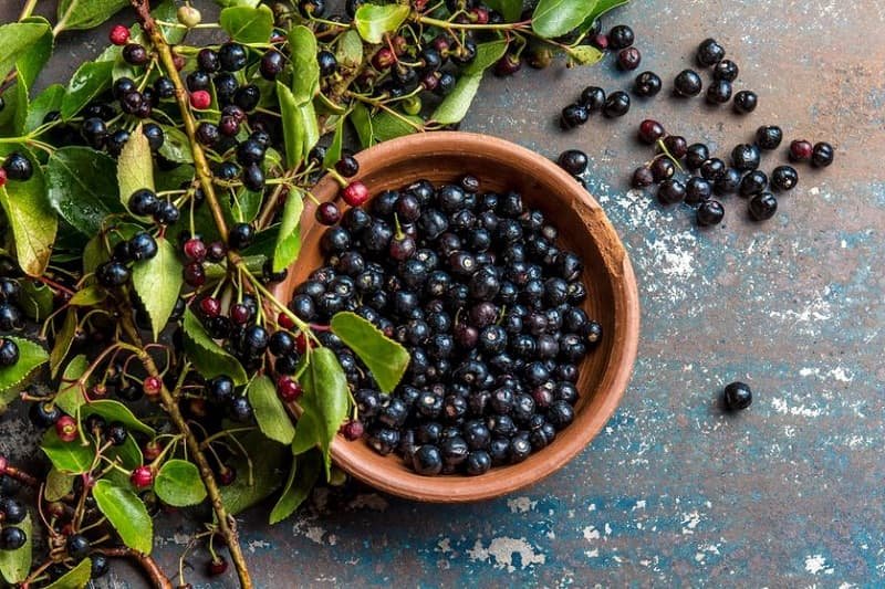 Maqui berry superalimentos pro