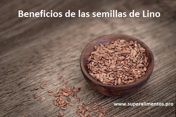 semillas-linaza