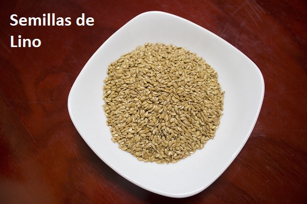 semillas-lino