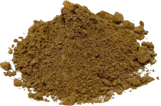 polvo de reishi propiedades