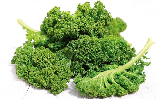 kale superalimento plantas kale superalimento plantas