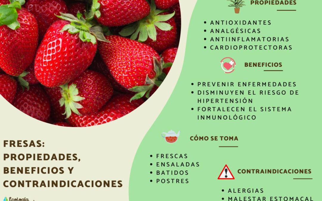 Cuáles son los beneficios de consumir fresas