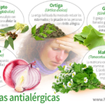 Qué hierbas pueden ayudar a aliviar los síntomas de la alergia